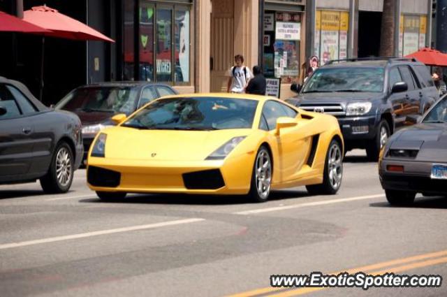 Lamborghini Gallardo spotted in Beverly Hills, California