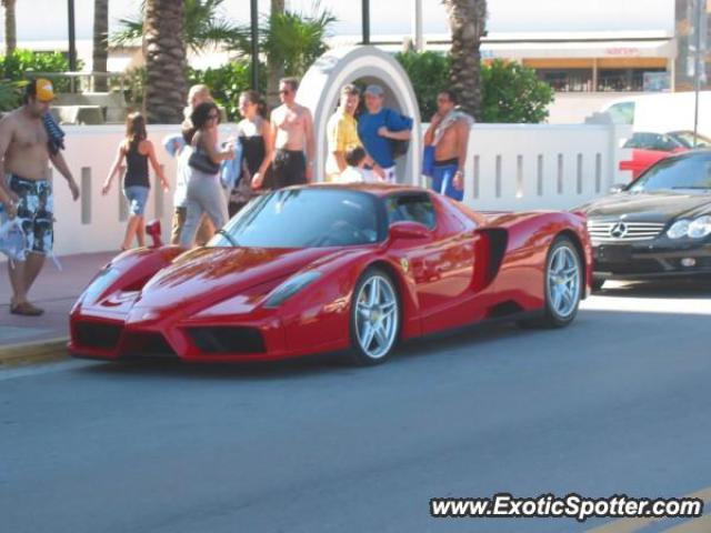 Ferrari Enzo spotted in Miami, Florida