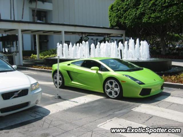 Lamborghini Gallardo spotted in Miami beach, Florida