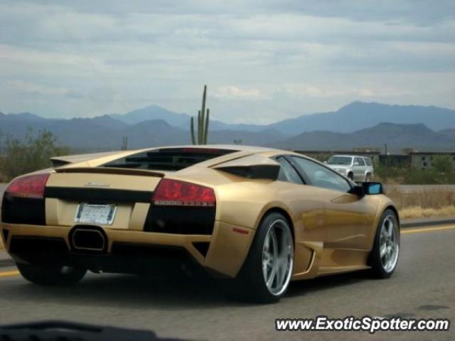 Lamborghini Murcielago spotted in Scottsdale, Arizona