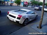 Lamborghini Gallardo