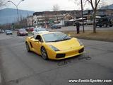 Lamborghini Gallardo