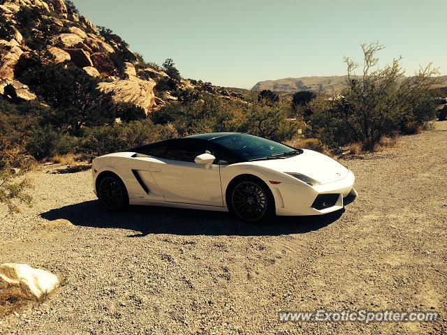 Lamborghini Gallardo spotted in Las Vegas, Nevada