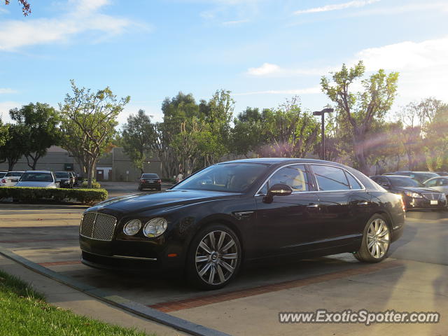 Bentley Continental spotted in City of Industry, California