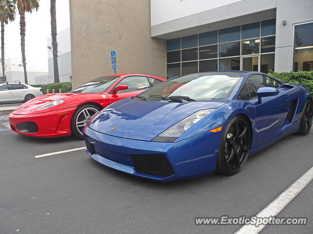 [http://www.exoticspotter.com/images/131/130590.jpg]