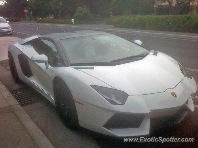 Lamborghini Aventador spotted in Palo Alto, California