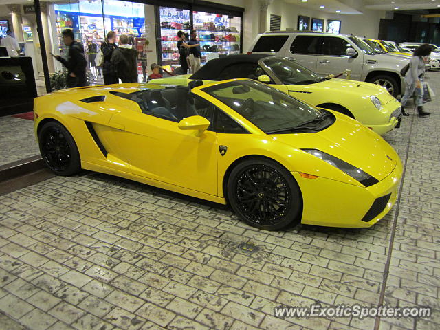 Lamborghini Gallardo spotted in Las Vegas, Nevada