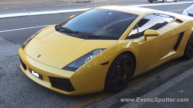 Lamborghini Gallardo spotted in Sydney, Australia