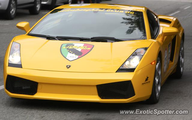 Lamborghini Gallardo spotted in Carmel, California