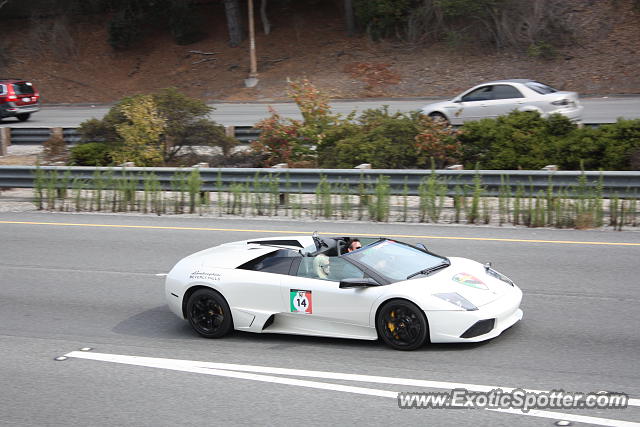 Lamborghini Murcielago spotted in Monterey, California