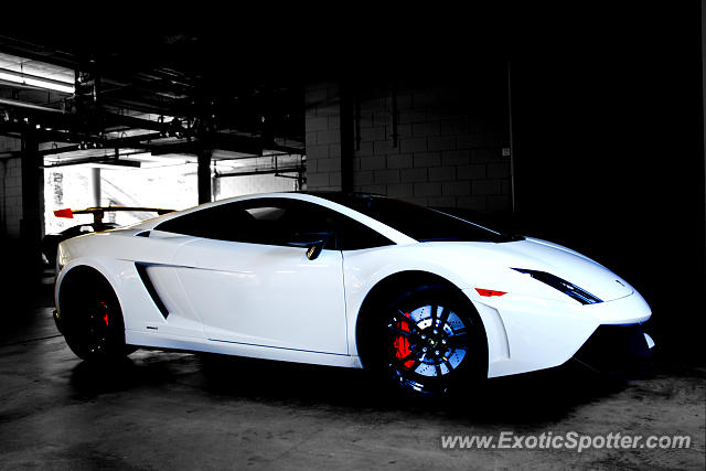 Lamborghini Gallardo spotted in Monterey, California