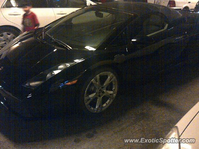 Lamborghini Gallardo spotted in Doha, Qatar