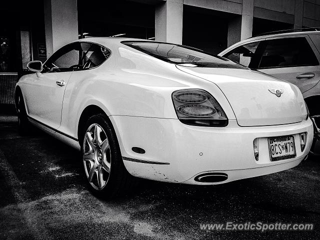 Bentley Continental spotted in Potomac, Maryland