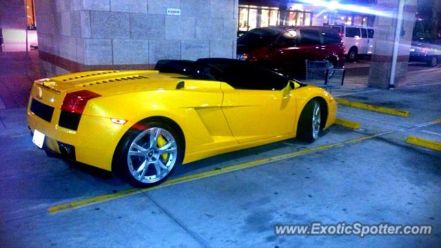 Lamborghini Gallardo spotted in Sarasota, Florida