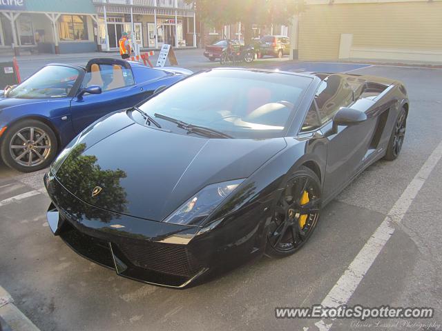 Lamborghini Gallardo spotted in Farnham, Canada