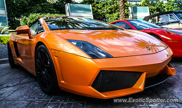 Lamborghini Gallardo spotted in Miami, Florida