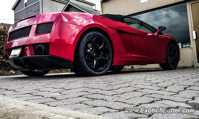 Lamborghini Gallardo spotted in Toronto, Canada