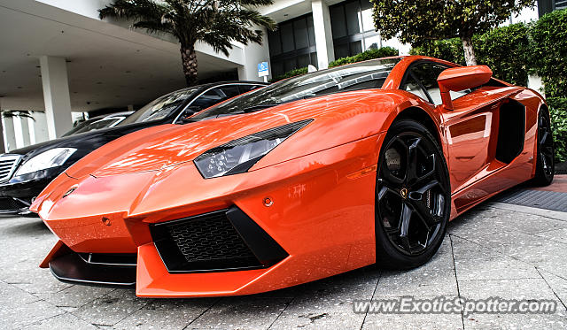 Lamborghini Aventador spotted in Miami, Florida