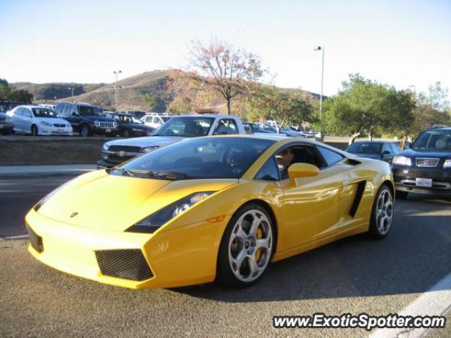 Lamborghini Gallardo spotted in Oak park, California