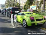 Lamborghini Gallardo