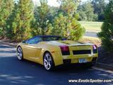 Lamborghini Gallardo