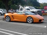 Lamborghini Gallardo