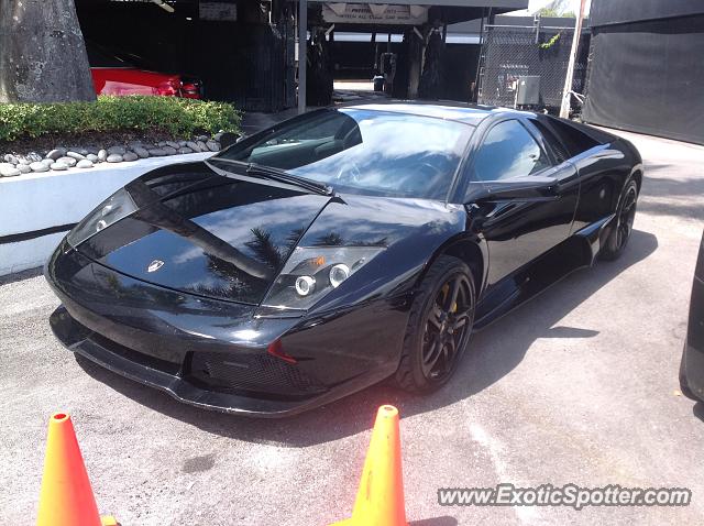 Lamborghini Murcielago spotted in Miami, Florida