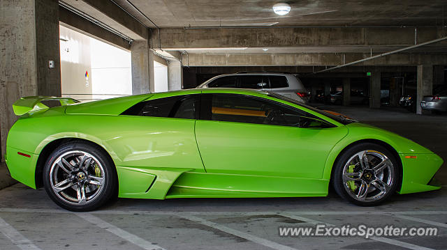 Lamborghini Murcielago spotted in Dallas, Texas