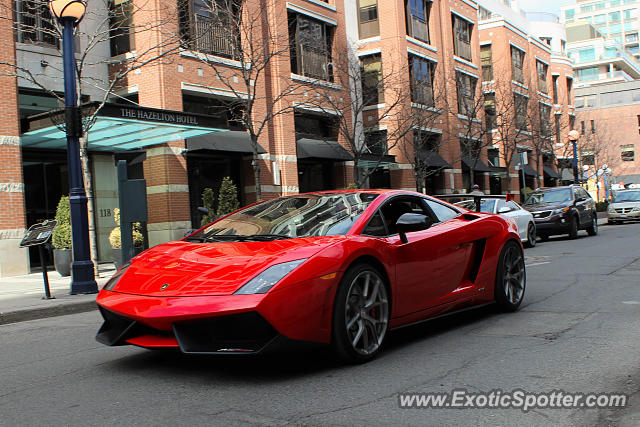 Lamborghini Gallardo spotted in Toronto, Canada