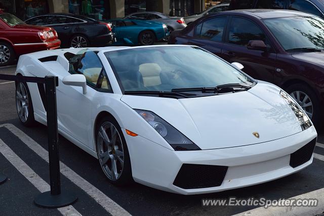 Lamborghini Murcielago spotted in Dallas, Texas