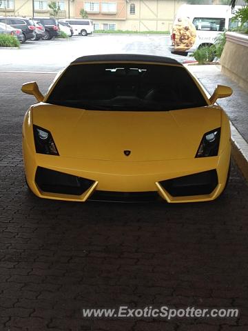 Lamborghini Gallardo spotted in Fort Lauderdale, Florida