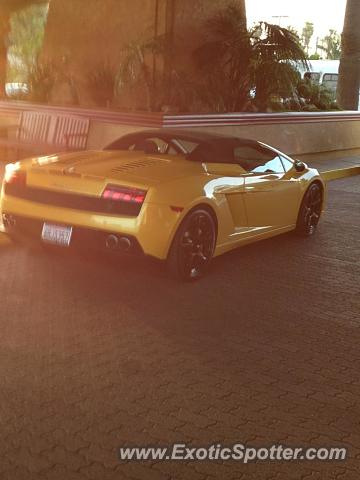 Lamborghini Gallardo spotted in Fort Lauderdale, Florida