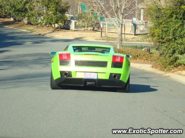 Lamborghini Gallardo spotted in Fort Mill, South Carolina