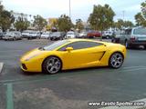 Lamborghini Gallardo