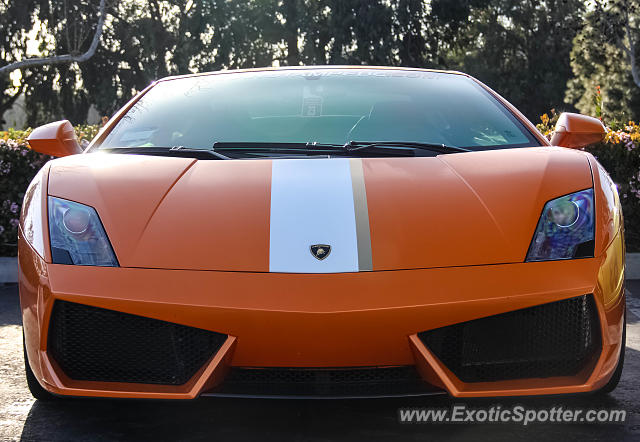 Lamborghini Gallardo spotted in Del Mar, California