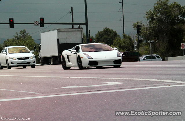 Lamborghini Gallardo spotted in Denver, Colorado