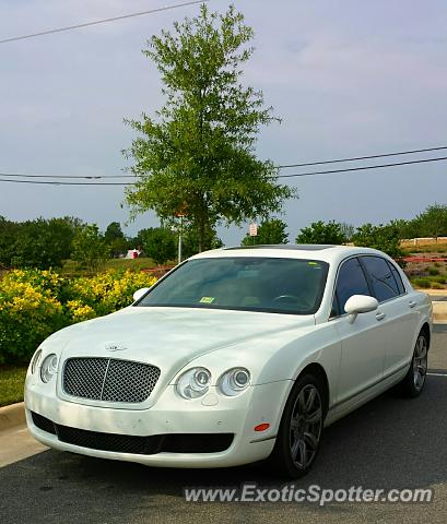 Bentley Continental spotted in Leesburg, Virginia