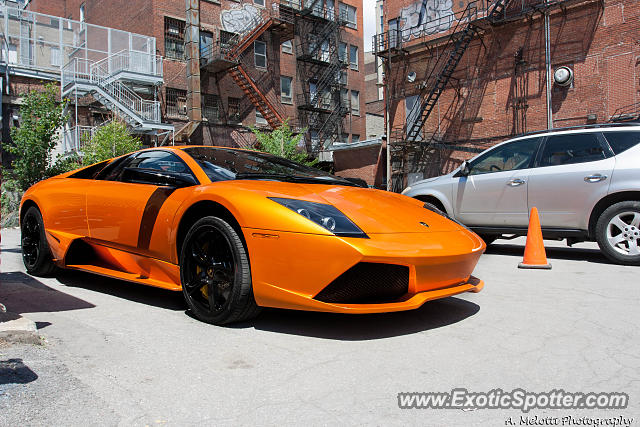 Lamborghini Murcielago spotted in Montreal, Canada