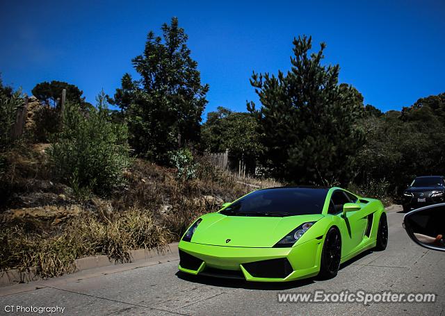 Lamborghini Gallardo spotted in Carmel, California