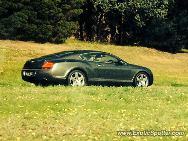 Bentley Continental spotted in Melbourne, Australia