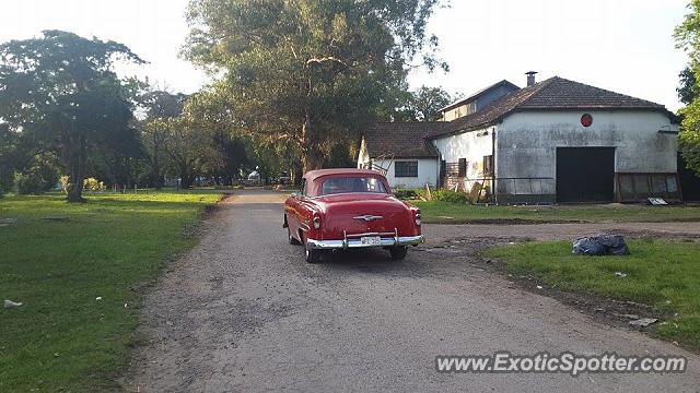 Other Vintage spotted in San Isidro, Argentina