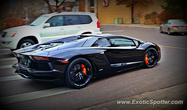 Lamborghini Aventador spotted in Cherry Creek, Colorado