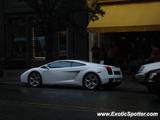 Lamborghini Gallardo