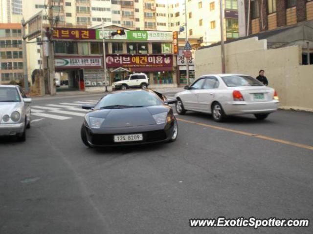 Lamborghini Murcielago spotted in Busan, South Korea