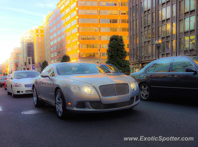 Bentley Continental spotted in D.C., Washington