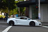 Lamborghini Gallardo