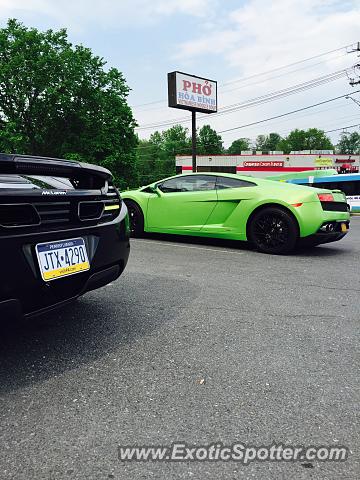 Lamborghini Gallardo spotted in Rockville, Maryland