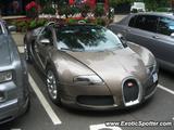 Bugatti Veyron