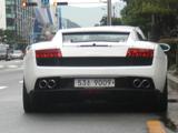 Lamborghini Gallardo