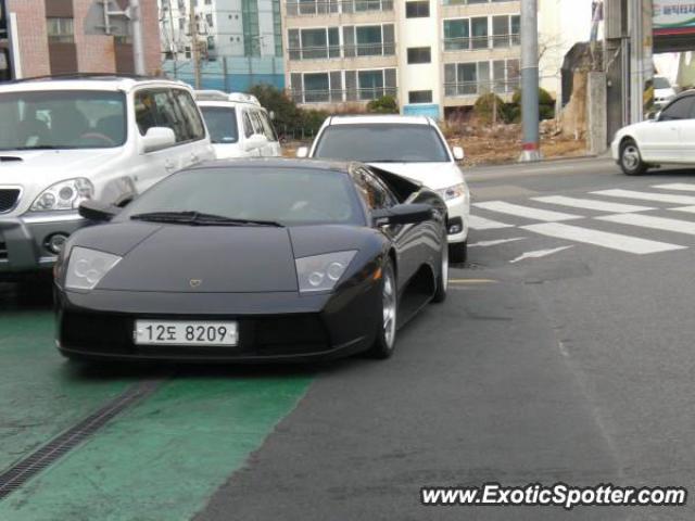 Lamborghini Murcielago spotted in Busan, South Korea